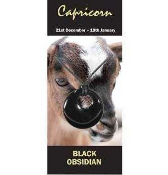 Capricorn Natural Jewellery Agogo Necklace